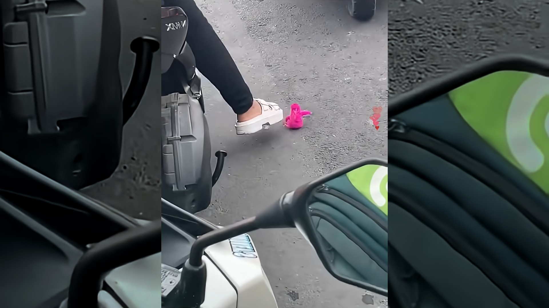 This girl rescued a chick that was abandoned on the road and then